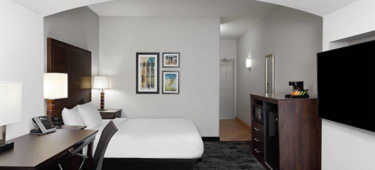 哥伦布爱丁堡拉昆塔温德姆套房酒店(La Quinta Inn & Suites by Wyndham Columbus - Edinburgh)图片