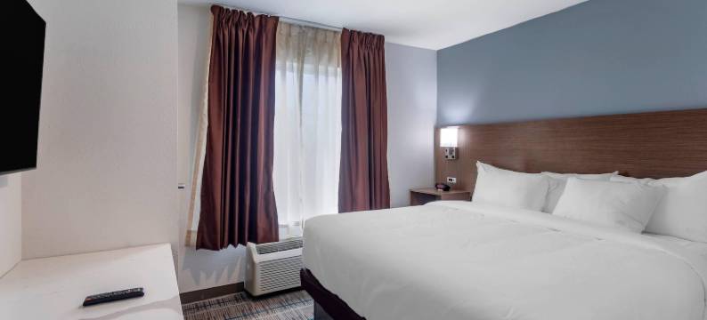 莱巴嫩美茵斯坦套房酒店 - 纳什维尔地区(MainStay Suites Lebanon - Nashville Area)图片