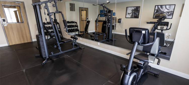 索内斯塔ES套房拉斐特机场(Sonesta ES Suites Lafayette Airport Extended Stay)图片