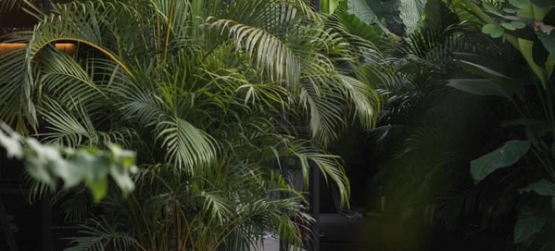 波希米亚巴厘岛，Design Hotels成员(The Bohemian Bali, a Member of Design Hotels)图片