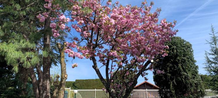 达克英式酒店(Brit Hotel Dak Hotel)图片