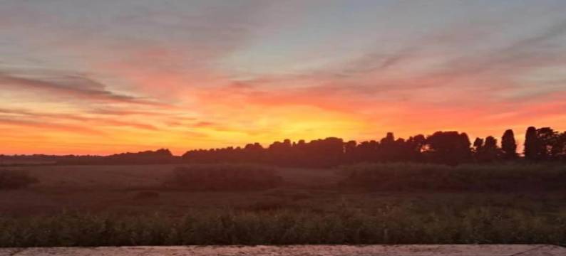 Escape in Rosignano Hills图片