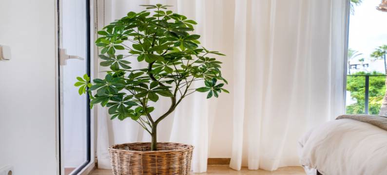 Seaside Stay with Pool图片