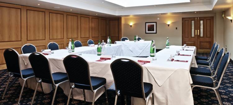 盖特威克国敦酒店(Copthorne Hotel London Gatwick)图片