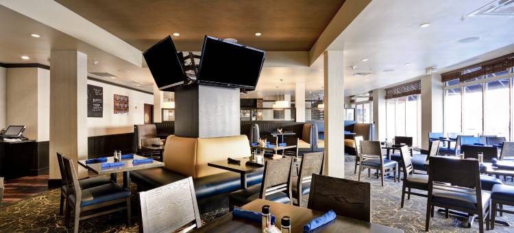 底特律大都会机场假日酒店(Holiday Inn Detroit Metro Airport)图片