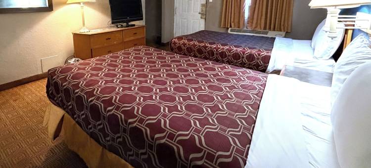 圣安东尼奥I-35瑞特曼路拉昆塔温德姆酒店(La Quinta Inn by Wyndham San Antonio I-35 N at Rittiman Rd)图片