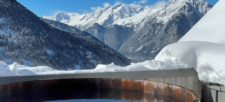 瓦雅尼 V 酒店(Hotel le V de Vaujany)图片