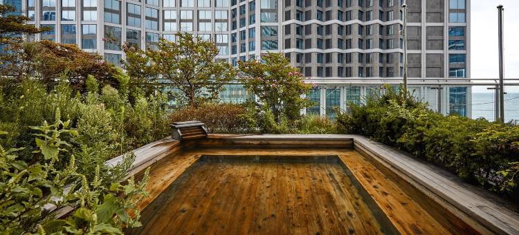 柯荣海云酒店(Kolon Seacloud Hotel)图片