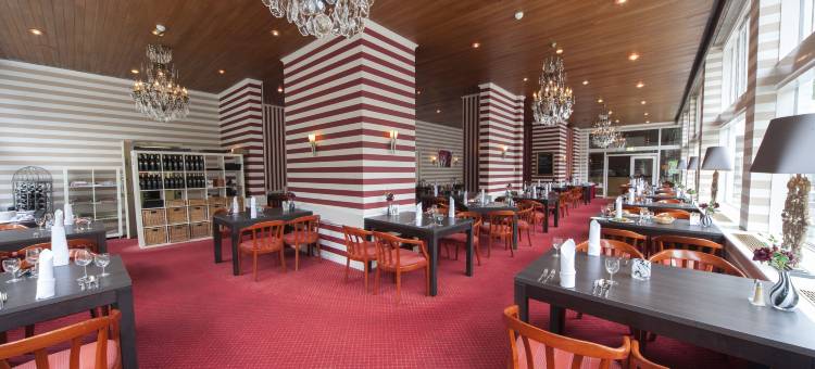 弗莱彻艾莉卡餐厅酒店(Fletcher Hotel Restaurant Erica)图片