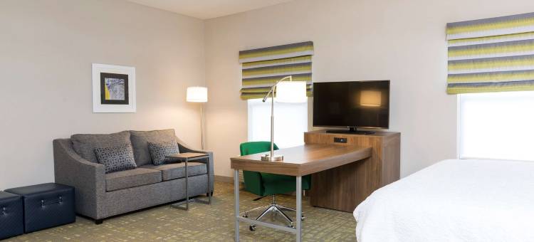 兰辛东欢朋酒店及套房(Hampton Inn & Suites East Lansing/Okemos)图片