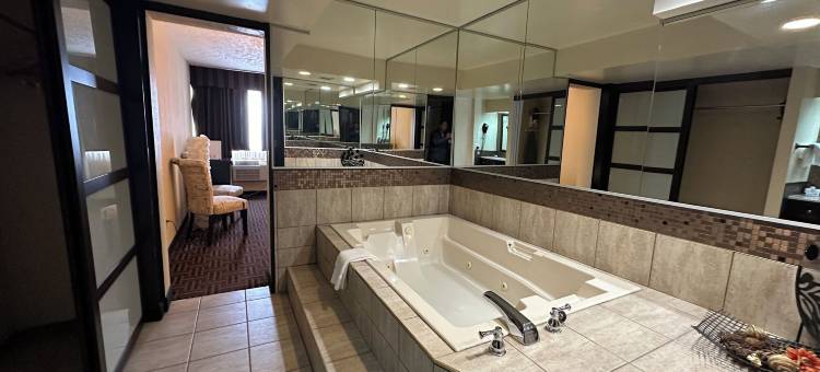 温德姆花园梅迪辛哈特会议中心(Wyndham Garden Medicine Hat Conference Center)图片