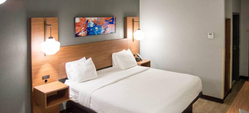 费耶特维尔 I-95 拉昆塔温德姆套房酒店(La Quinta Inn & Suites by Wyndham Fayetteville I-95)图片