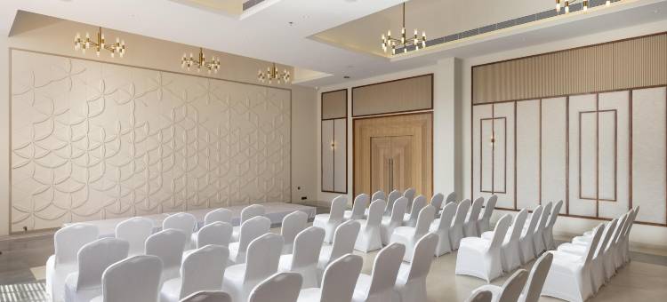 丁香库姆巴科南(Lilac Kumbakonam)图片