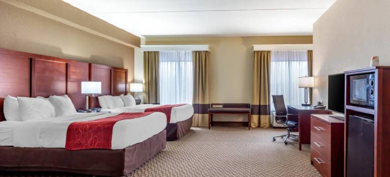 舒适套房酒店(Comfort Suites Smyrna)图片