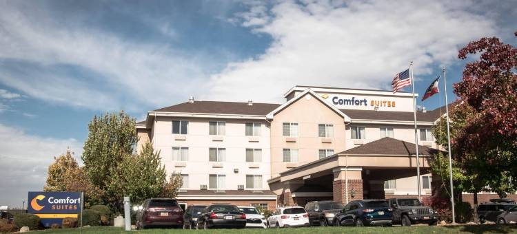 机场舒适套房酒店(Comfort Suites Airport)图片