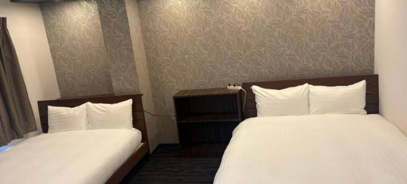 彩酒店东京入谷(Aya Hotel)图片