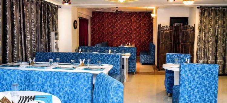 戈亚尔酒店管理集团的塔拉宫酒店(Hotel Tara Palace by Goyal Hoteliers)图片