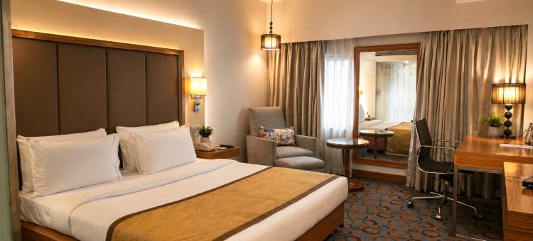 艾哈迈达巴德傲世广场酒店(Pride Plaza Hotel, Ahmedabad)图片