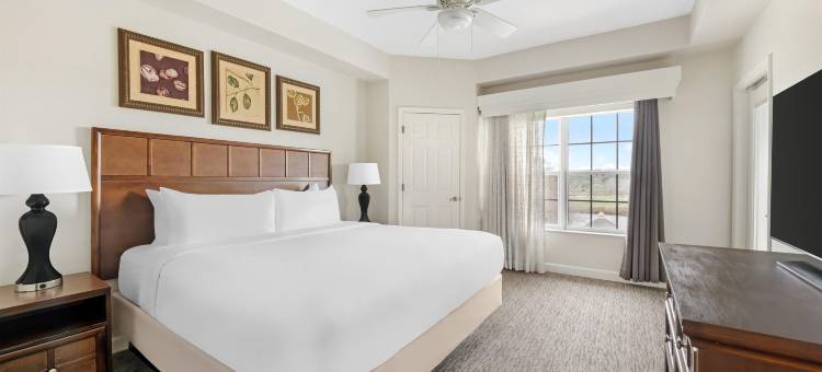 希尔顿度假俱乐部圣奥古斯丁(Hilton Vacation Club St Augustine)图片