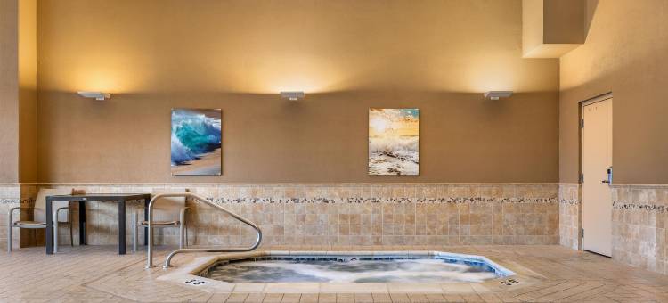 圣路易斯-近森林公园德鲁里套房酒店(Drury Inn & Suites St. Louis Forest Park)图片