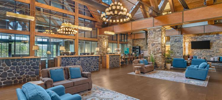 希尔顿分时度假俱乐部天堂角霍利斯特酒店(Hilton Grand Vacations Club Paradise Point Hollister)图片