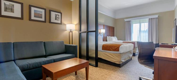 萨凡纳北舒适套房酒店(Comfort Suites Savannah North)图片