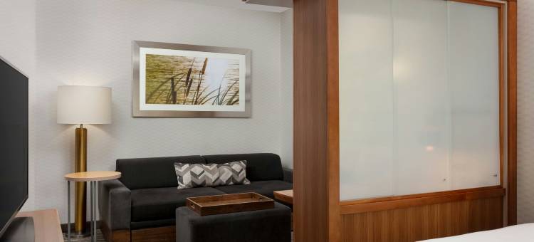 大章克申市区/历史主街万豪SpringHill酒店(SpringHill Suites Grand Junction Downtown/Historic Main Street)图片