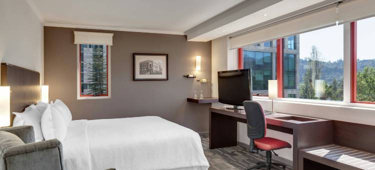 圣地亚哥福朋喜来登酒店(Four Points by Sheraton Santiago)图片
