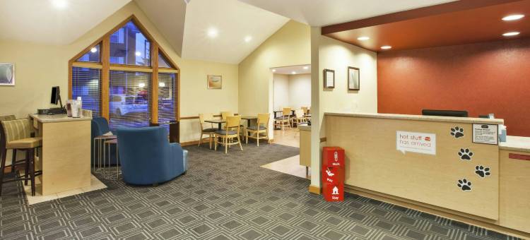 底特律斯特灵海茨万豪TownePlace酒店(TownePlace Suites Detroit Sterling Heights)图片