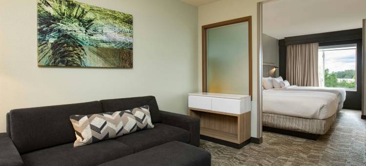 奥兰多阿尔塔蒙特斯普林斯／梅特兰万豪SpringHill酒店(SpringHill Suites Orlando Altamonte Springs/Maitland)图片