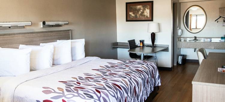 红顶酒店-罗彻斯特亨丽埃塔(Red Roof Inn Rochester - Henrietta)图片