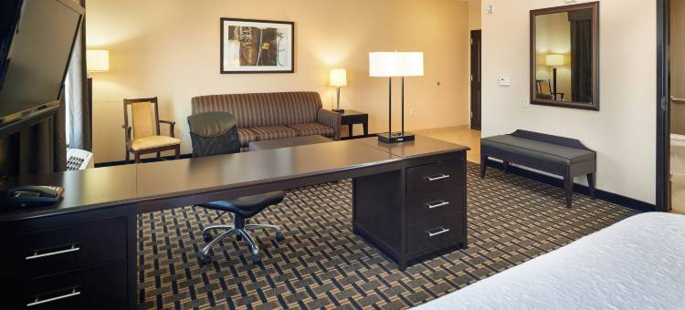 朗维尤北欢朋套房旅馆(Hampton Inn & Suites Longview North)图片