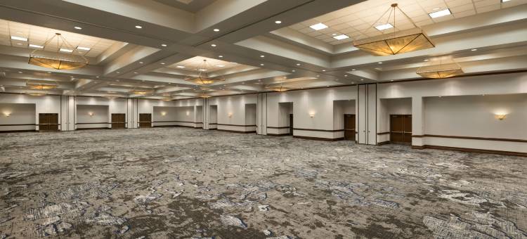 国际机场DFW北外界希尔顿安泊酒店(Embassy Suites by Hilton Grapevine DFW Airport North)图片