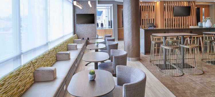 底特律迪尔伯恩SpringHill Suites酒店(SpringHill Suites Detroit Dearborn)图片