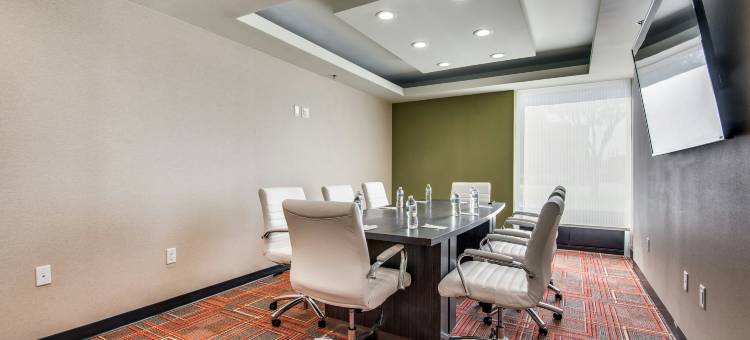 德克萨斯 DFW 机场南/欧文希尔顿惠庭酒店(Home2 Suites by Hilton DFW Airport South Irving)图片