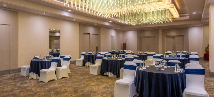 海得拉巴科技城丽筠酒店(Radisson Hyderabad Hitec City)图片