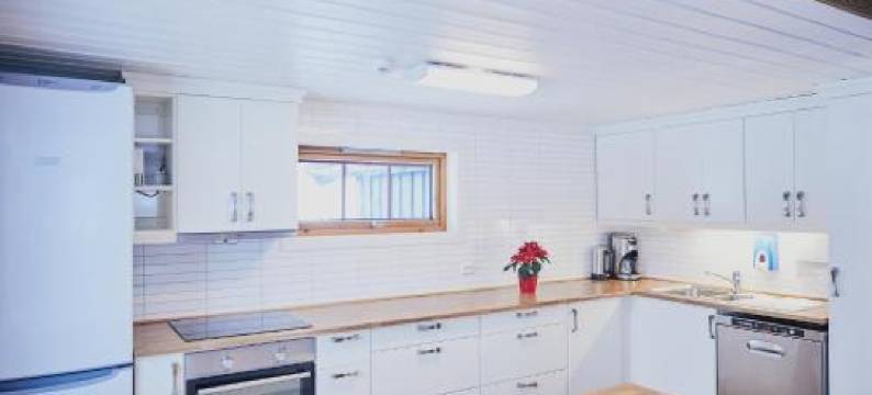 布雷纳布酒店(Brennabu)图片