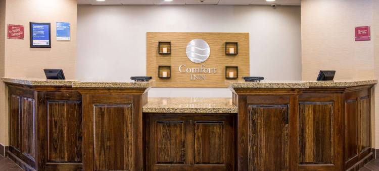 康乃迪克诺格塔克谢尔顿舒适酒店(Comfort Inn Naugatuck-Shelton, CT)图片