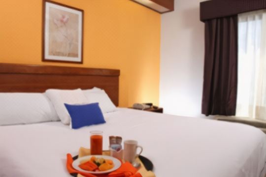 Wyndham Garden Monterrey Valle Real Hotel Overview