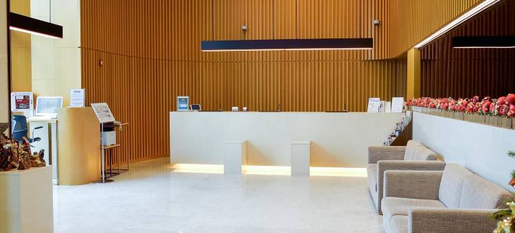 首尔东大门相铁喜普乐吉酒店(SOTETSU HOTELS THE SPLAISIR SEOUL DONGDAEMUN)图片