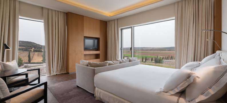 瓦尔布森达酒窖及水疗酒店(Valbusenda Hotel Bodega & Spa)图片