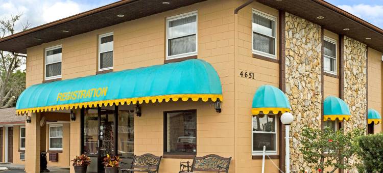 奥兰多基西米骑士酒店(Knights Inn Kissimmee)图片