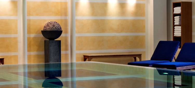 巴黎华西戴高乐机场博览诺富特酒店(Novotel Paris Roissy CDG Convention)图片