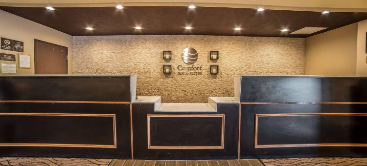 弗纳尔-国家公园区舒适套房酒店(Comfort Inn & Suites Vernal - National Monument Area)图片