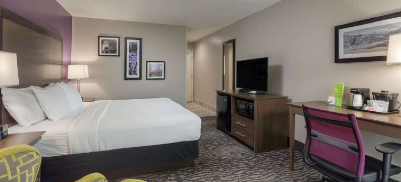 温德姆旗下拉昆塔温德姆酒店套房-维塞利亚/红杉树门户(La Quinta Inn & Suites by Wyndham Visalia/Sequoia Gateway)图片