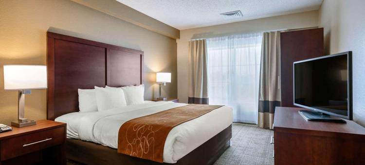 康福特套房市中心(Comfort Suites Downtown)图片