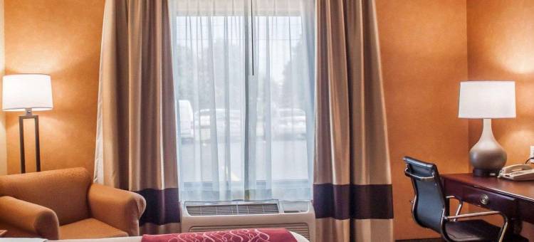 沃尔登广场购物中心附近凯艺酒店(Quality Inn Near Walden Galleria Mall)图片