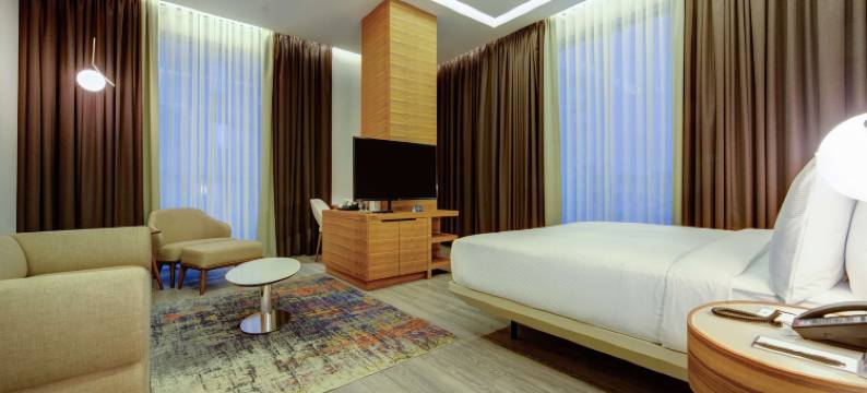 阿达那希尔顿逸林酒店(DoubleTree by Hilton Adana)图片