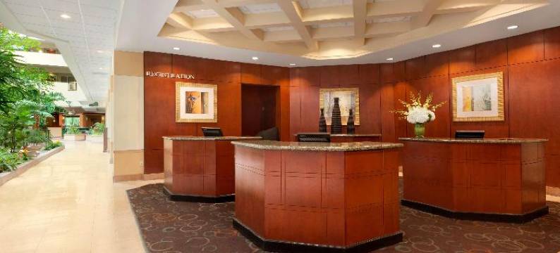 希尔顿坦帕布希花园附近美国佛罗里达大学大使套房酒店(Embassy Suites by Hilton Tampa USF Near Busch Gardens)图片