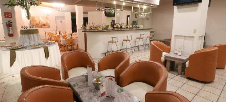 米西翁阿瓜斯卡连特斯卵苏尔酒店(Hotel Misión Aguascalientes Zona Sur)图片